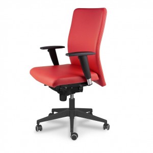 Sillon APOLO 2