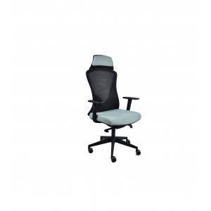 Silla V21