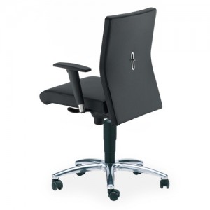 Sillon Cisne 3